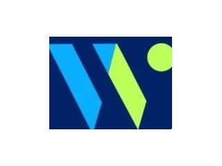 professional-seo-services-india-small-0