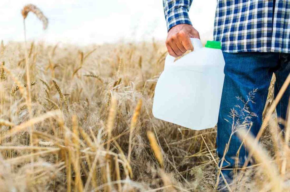 buy-is-standard-anhydrous-ammonia-get-quote-today-big-0