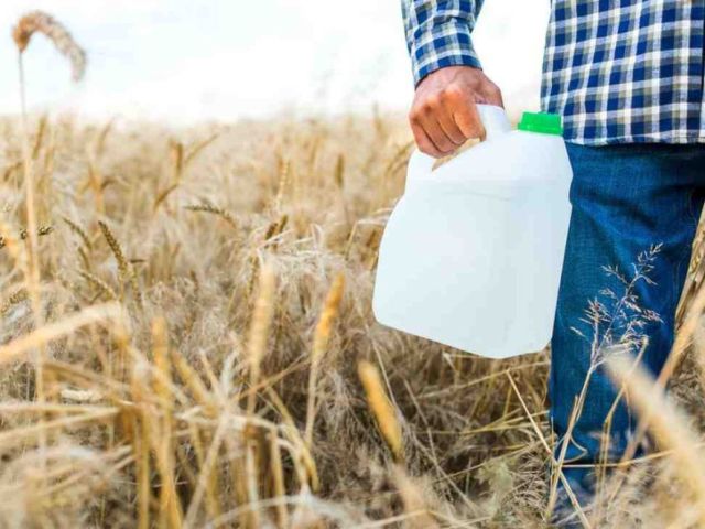 buy-is-standard-anhydrous-ammonia-get-quote-today