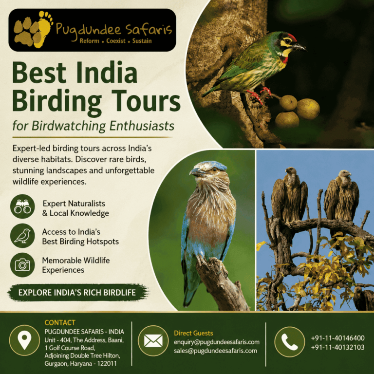 best-india-birding-tours-for-birdwatching-enthusiasts-big-0