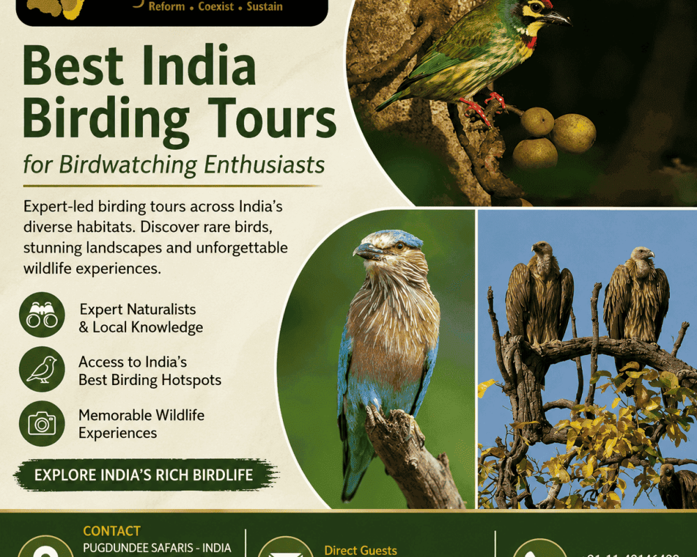 best-india-birding-tours-for-birdwatching-enthusiasts