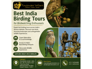 best-india-birding-tours-for-birdwatching-enthusiasts-small-0