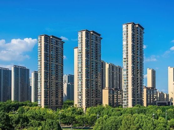 premium-flats-at-purva-new-launch-project-in-kudlu-gate