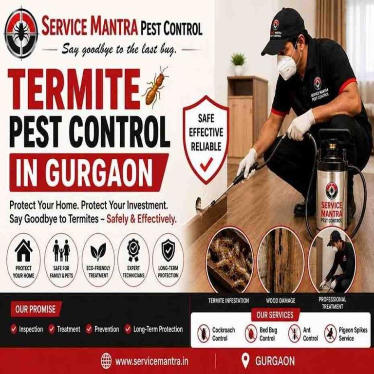 best-termite-pest-control-in-gurgaon-for-homes-offices-big-0