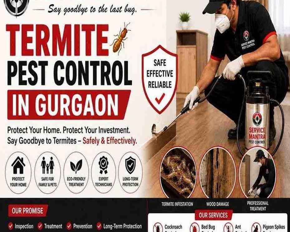 best-termite-pest-control-in-gurgaon-for-homes-offices