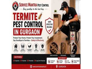 best-termite-pest-control-in-gurgaon-for-homes-offices-small-0