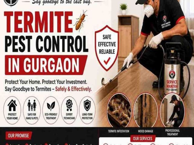 best-termite-pest-control-in-gurgaon-for-homes-offices