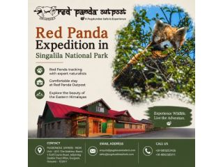 red-panda-expedition-in-singalila-national-park-small-0