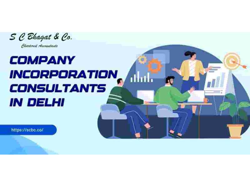 expert-ca-guidance-company-incorporation-consultants-in-delhi-small-0