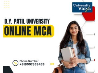 software-systems-dy-patil-university-online-mca-small-0