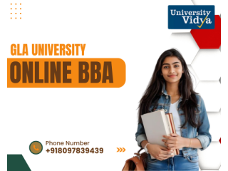 undergraduate-commerce-gla-university-online-bba-small-0
