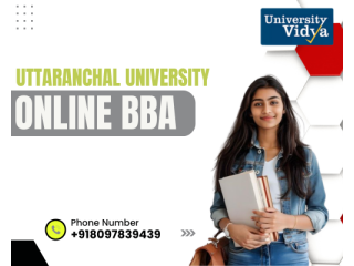 summary-uttaranchal-university-online-bba-small-0