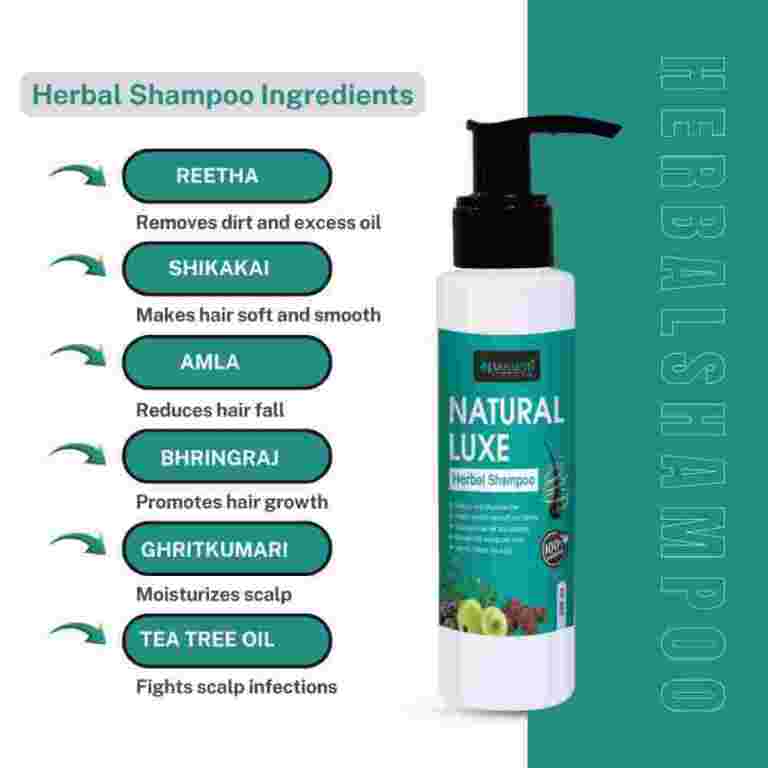 ojas-earth-ayurvedic-shampoo-a-natural-path-to-healthier-big-1
