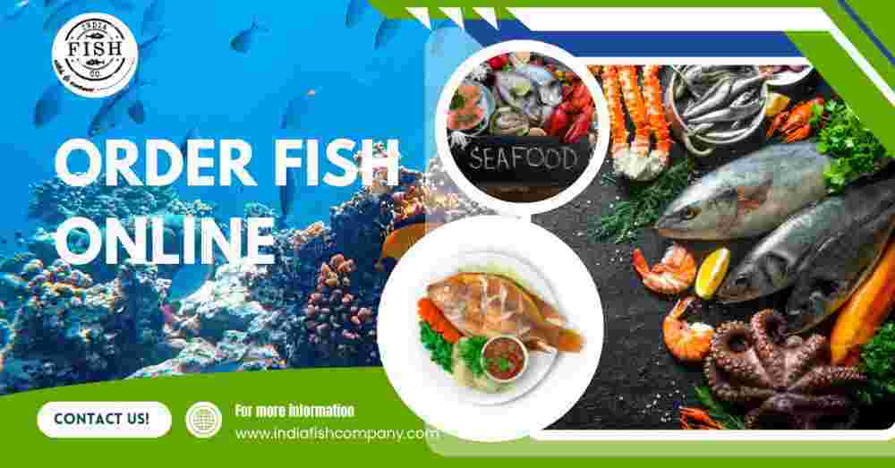 premium-fresh-fish-in-gurgaon-for-healthy-meals-big-0