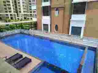 custom-pool-construction-small-0