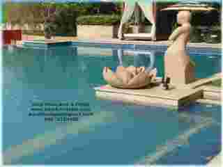 swimming-pool-equipments-small-0