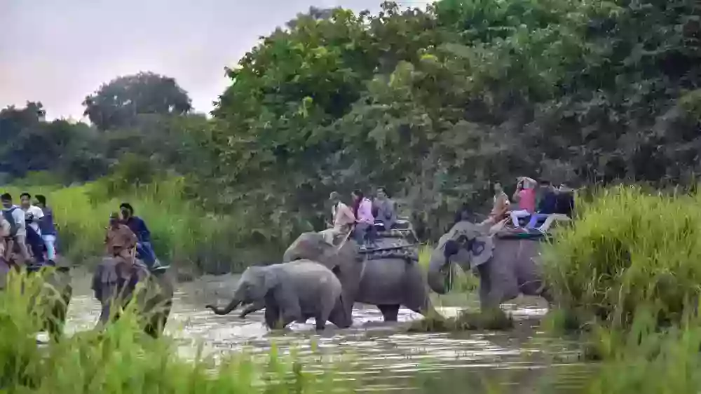 dooars-tour-package-price-2026-big-0