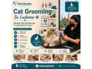 cat-grooming-in-lucknow-small-0