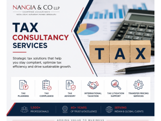 tax-consultancy-services-by-nangia-co-llp-small-0