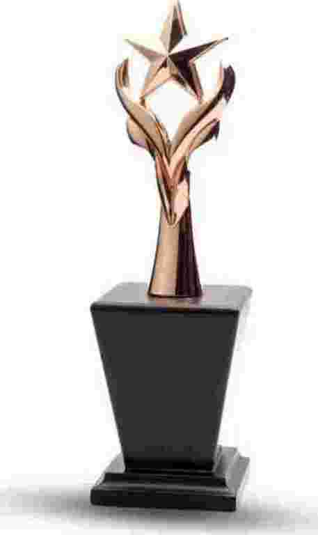metal-star-trophies-big-0