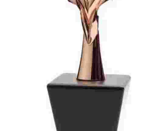 metal-star-trophies