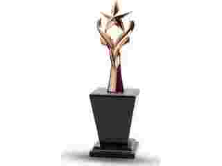 metal-star-trophies-small-0