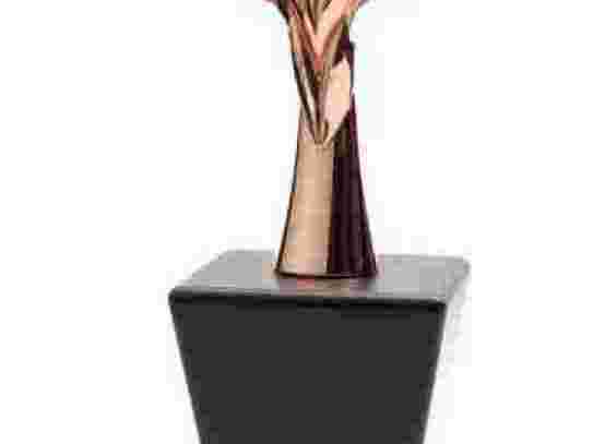 metal-star-trophies