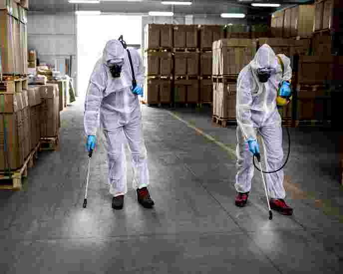 pest-control-noida-reliable-pest-management-services