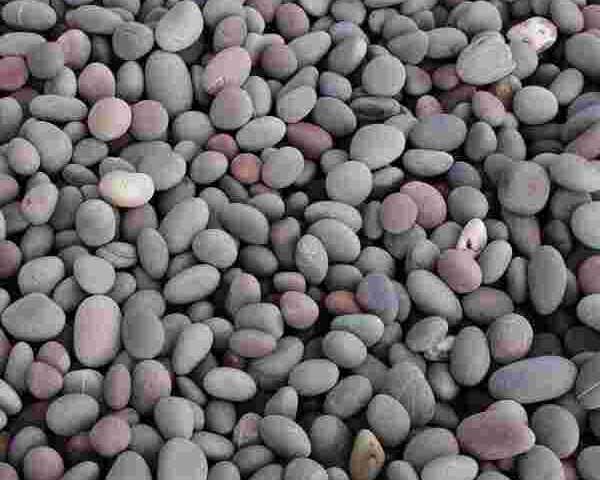 reliable-pebbles-supplier-for-garden-construction-needs