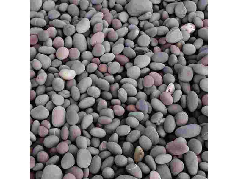 reliable-pebbles-supplier-for-garden-construction-needs-small-0