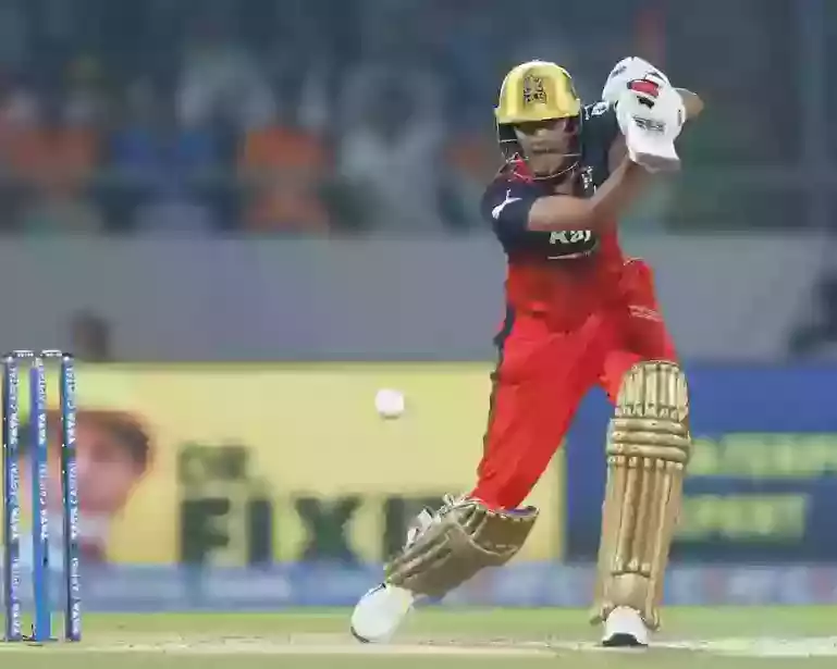 playcric-real-time-cricket-coverage-for-enthusiasts