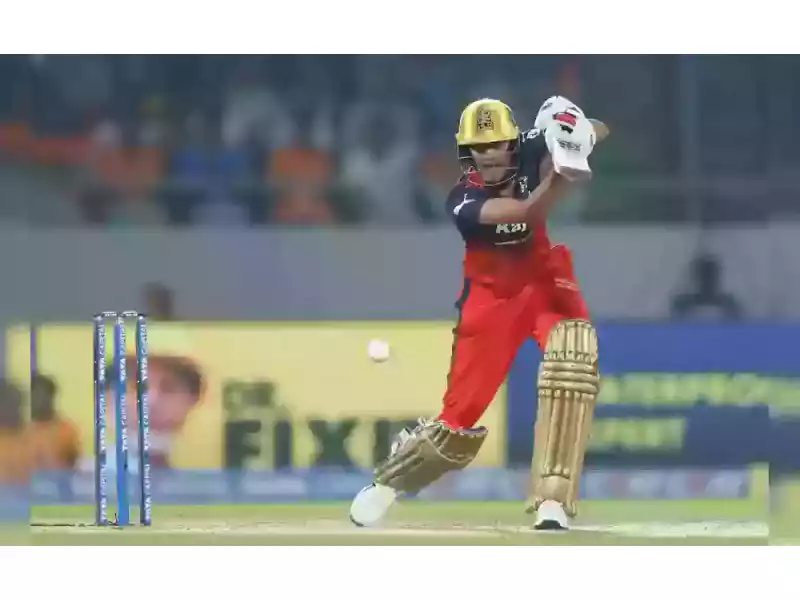 playcric-real-time-cricket-coverage-for-enthusiasts-small-0