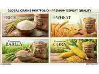 quality-grains-exporter-in-india-small-0