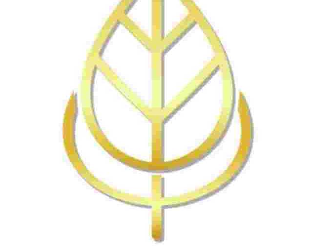 wholesale-gold-leaf-sheets-for-premium-decorative-projects