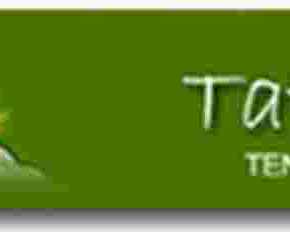 resorts-in-palampur-with-swimming-pool-tatva-bir-resorts