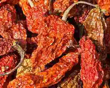 bhut-jolokia-dry-red-chilli-exporters
