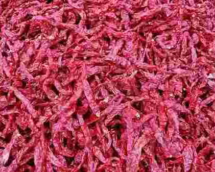 byadgi-chilli-exporters
