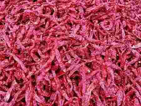 byadgi-chilli-exporters-big-0