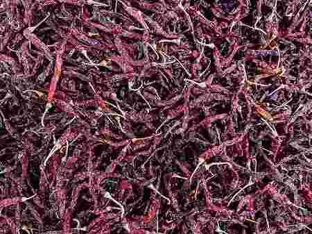 lavangi-dry-red-chilli-big-0