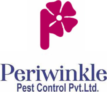 pest-control-services-in-ghaziabad-periwinkle-pest-big-0
