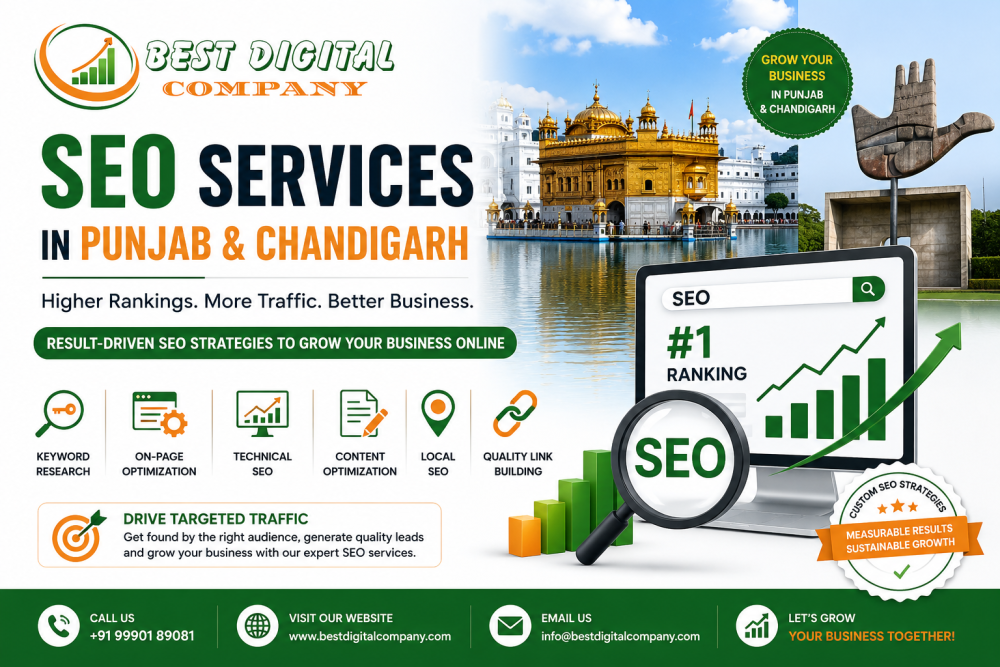 seo-services-in-punjab-chandigarh-best-digital-company-big-0