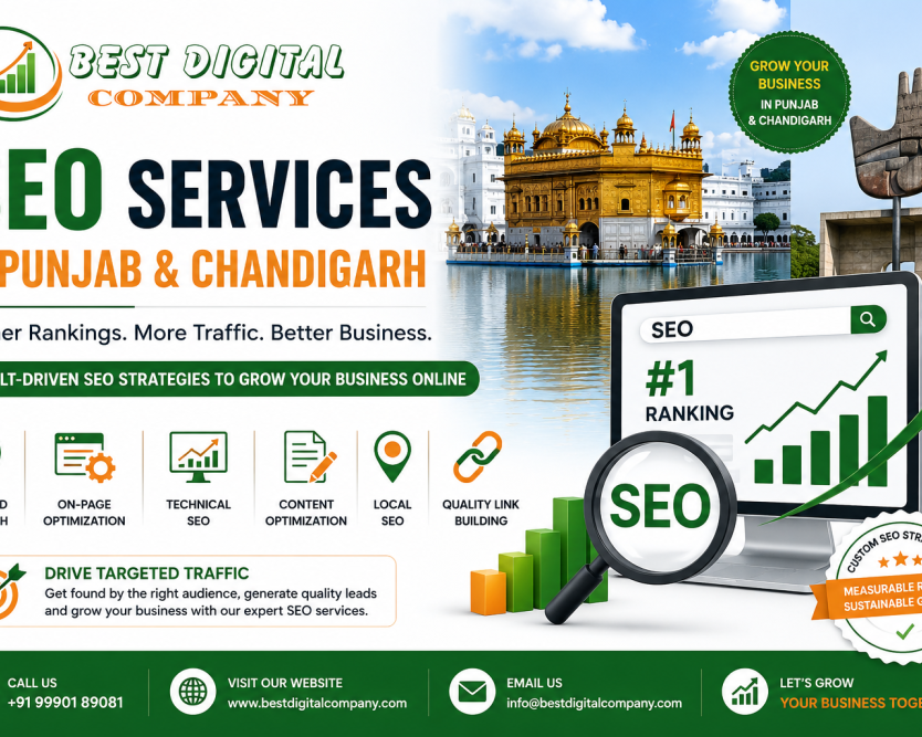seo-services-in-punjab-chandigarh-best-digital-company