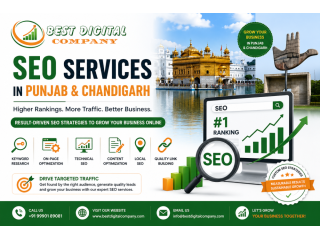 seo-services-in-punjab-chandigarh-best-digital-company-small-0