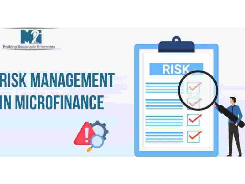 expert-risk-management-in-microfinance-consulting-services-small-0