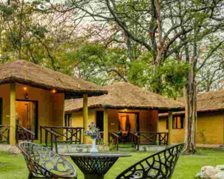 jungle-cottages-in-jim-corbett-for-nature-stay