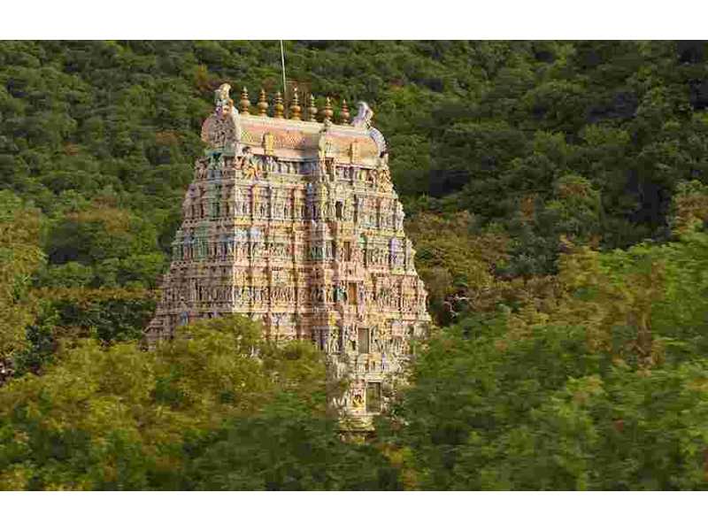 best-car-rental-in-madurai-small-0