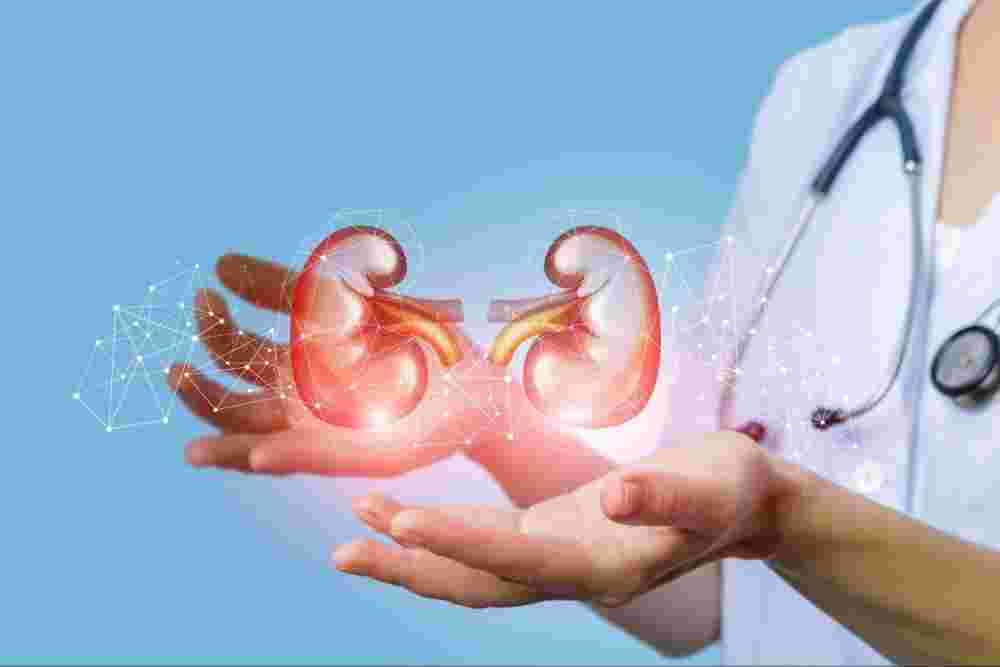 expert-bladder-cancer-care-in-kolkata-big-0