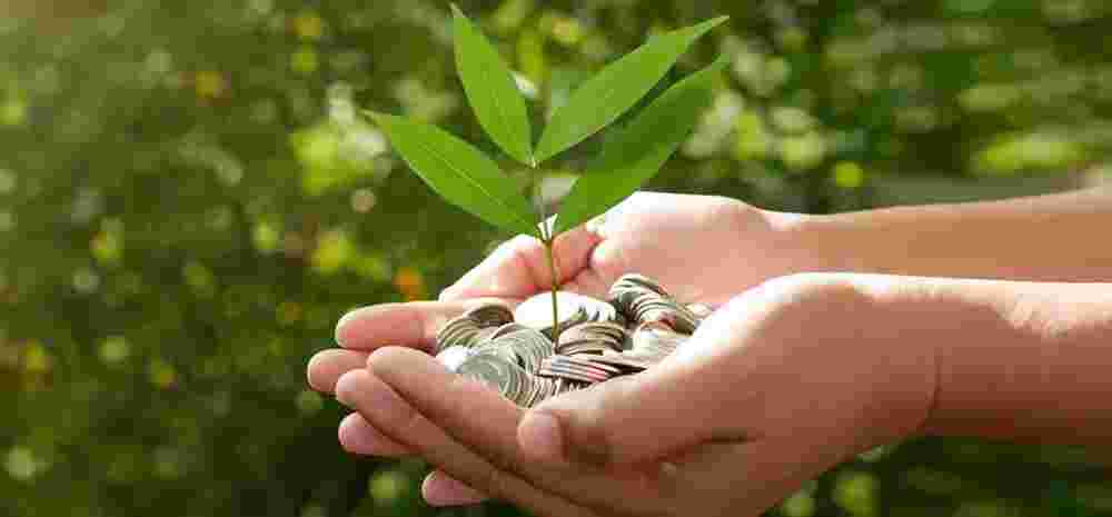 forex-risk-and-the-future-of-indias-green-financing-big-0