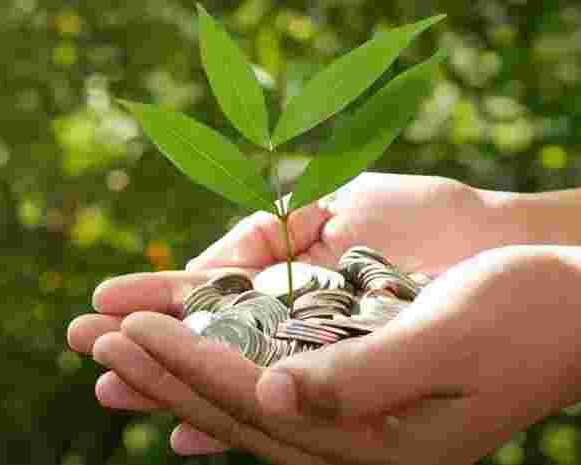 forex-risk-and-the-future-of-indias-green-financing