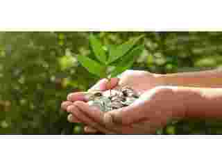 forex-risk-and-the-future-of-indias-green-financing-small-0